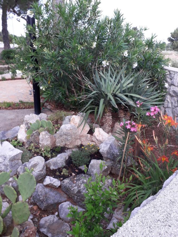 Holiday Home Novaglia Esterno foto